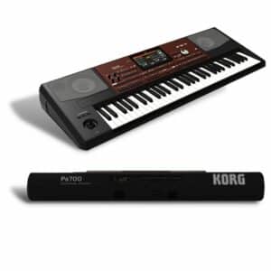 Teclado de 61 Teclas (5 octavas), polifonía 128 Voces, metrónomo